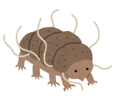 くまむし