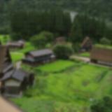 3167477