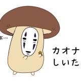 3178233