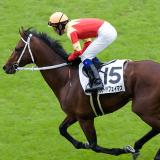 3181774