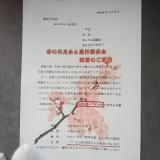 3185982