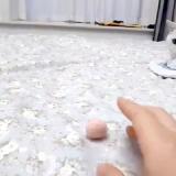 3225202