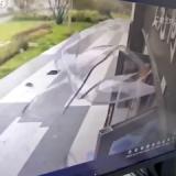 3260239