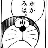 3261807