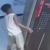 3265958