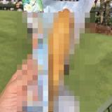 3267825