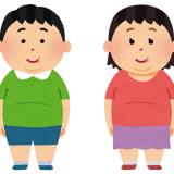 3276376