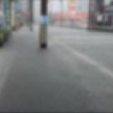 3304675