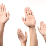 3309094