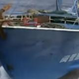 3320555